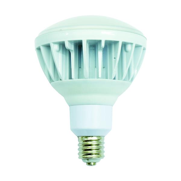 NICHIDO ハイスペックエコビック40W ( L40V2-J110-30K ) 日動工業(株