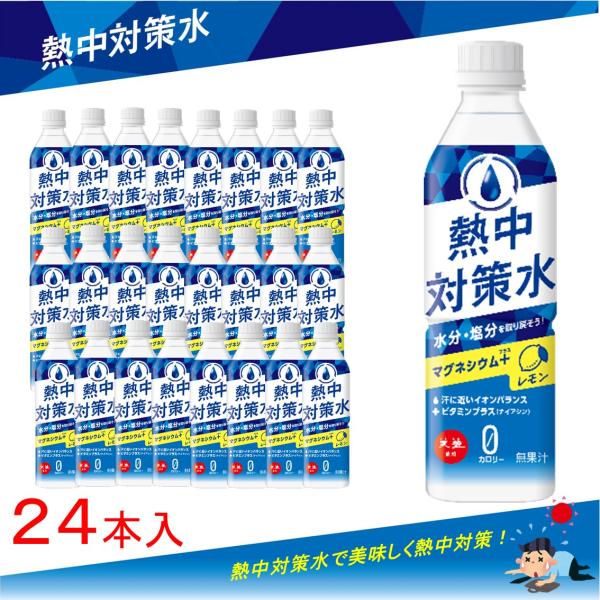 熱中対策水 レモン味  500ml × 24本  赤穂化成1ケース 熱中症対策 スポーツ 部活動 現場作業 暑さ対策 海洋深層水 赤穂化成 天塩 子供 塩分補給