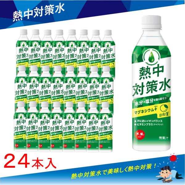 熱中対策水 日向夏味 500ml × 24本 赤穂化成1ケース 熱中症対策 スポーツ 部活動 現場作業 暑さ対策 海洋深層水 赤穂化成 天塩 子供 塩分補給
