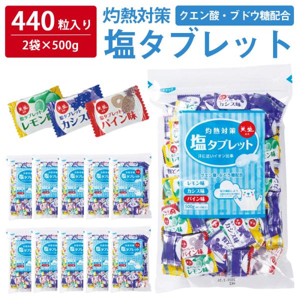 ＼たっぷり440粒入／ 塩タブレット 500g ( 500g×2袋 ) 塩分補給 3種のフレーバー レモン カシス パイン 自社