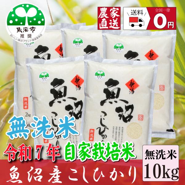 コシヒカリ 【農家直売】 無洗米10kg 無洗米 令和7年産 魚沼産