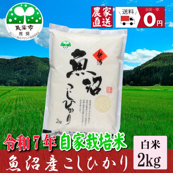 [Release date: September 7, 2024]【全国一律送料無料】【受注後精米】令和７年産！魚沼市推奨コシヒカリ！魚沼市が厳正な審査を行ない、魚沼ブランドにふさわしい「美味しいコシヒカリ」であると認証されました。私が栽培...