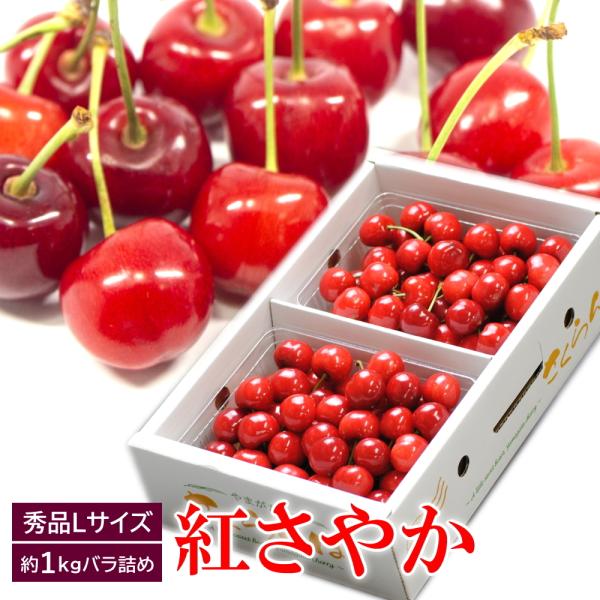 tokusanya_fs0077