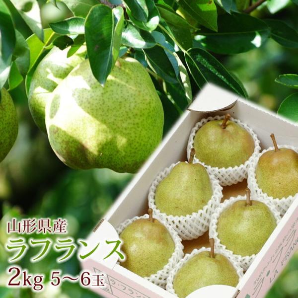 m@tX@2kgȏi5-6ʑOjϔl߁@ʃTCY@R`Y@m@Ȃ@悤Ȃ / ꌧEꕔւ̔zs 