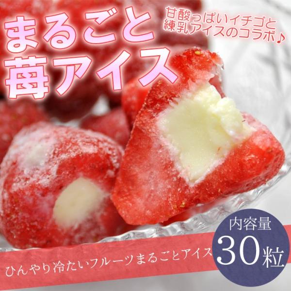   ACX 30  ܂邲 C`S ACX   o^C Cxg wΉ a Mtg 