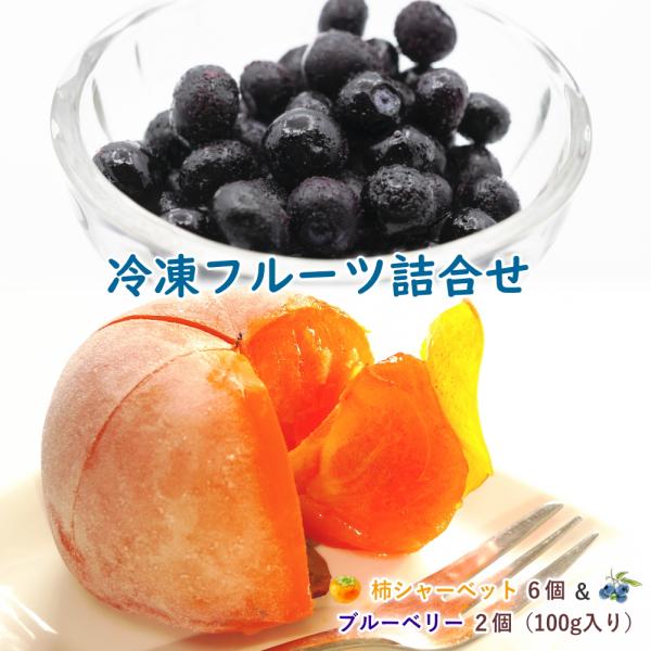 冷凍ブルーベリー（100g×2P）＆柿シャーベット（6個）化粧箱詰め
