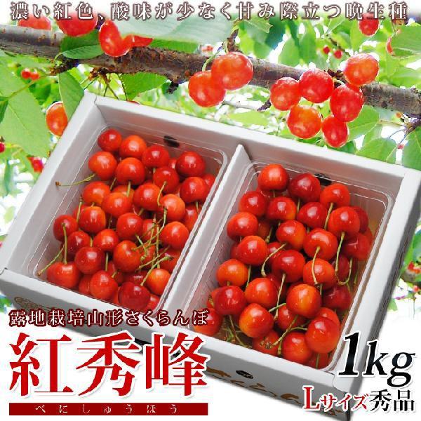 紅秀峰 1kgの人気商品・通販・価格比較 - 価格.com 紅秀峰 1kgの人気商品・通販・価格比較 - 価格.com
