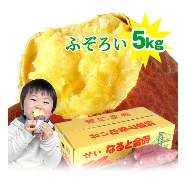 徳島県産なると金時サツマイモ(土洗い済)で、秀品に次ぐ優品。名称：ふぞろいのなると金時 原材料名：さつまいも原料原産地：徳島県鳴門市大津町産内容量：5kg 箱入サイズ：サイズ無選別のふぞろい納期：入荷後順次出荷（青果物のため、配送日時指定に...