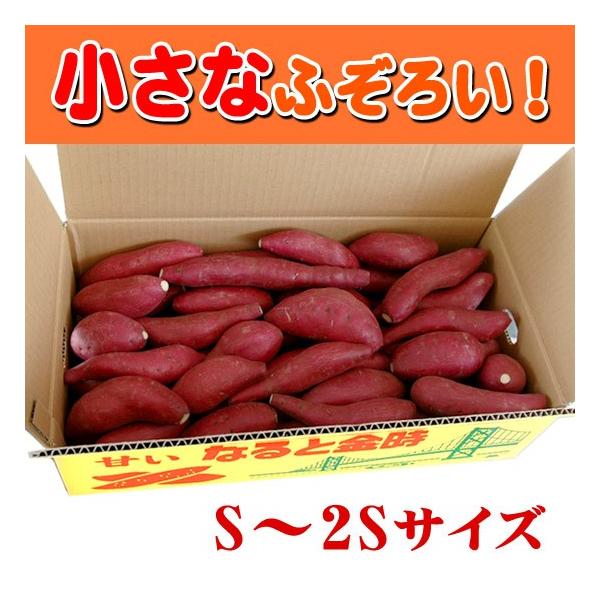 ܂ ӂ낢̂ȂƋ S`2S̏TCY 5kg sÒY 