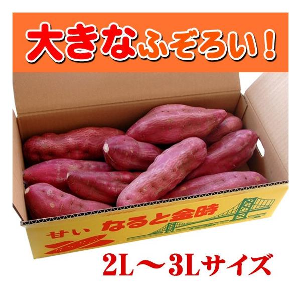 ܂ ӂ낢̂ȂƋ 2L`3L̑傫TCY 5kg sÒY 