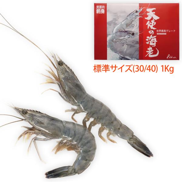 天使の海老 標準サイズ1Kg箱入り(規格:30/40) : 特正 - 通販 - Yahoo