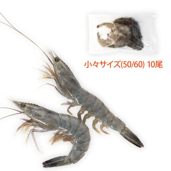 一尾あたり、約１８ｇ　約１２ｃｍのえびです。小ぶりなえびは上品なお刺身や天ぷらに最適です。小分けしてお届けしますので、ご家庭で召し上がるのに最適です。全く汚染のない安全な天然海水による粗放養殖をおこなっており、抗生物質は一切使用しておりませ...