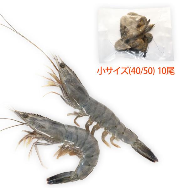 一尾あたり、約２２ｇ　約１４ｃｍのえびです。小ぶりなえびは上品なお刺身や天ぷらに最適です。小分けしてお届けしますので、ご家庭で召し上がるのに最適です。全く汚染のない安全な天然海水による粗放養殖をおこなっており、抗生物質は一切使用しておりませ...