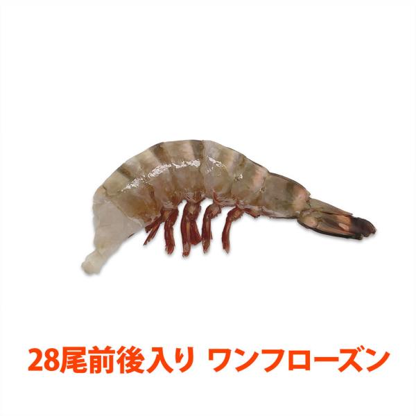 VREV[^CK[(Ki:6/8) TU`VTg/ 28 t[Y