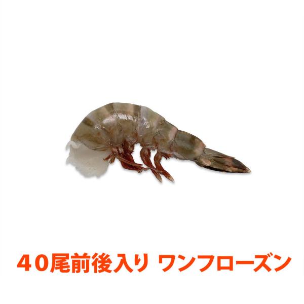 VREV[^CK[(Ki:8/12) RV`TUg/ 40 t[Y