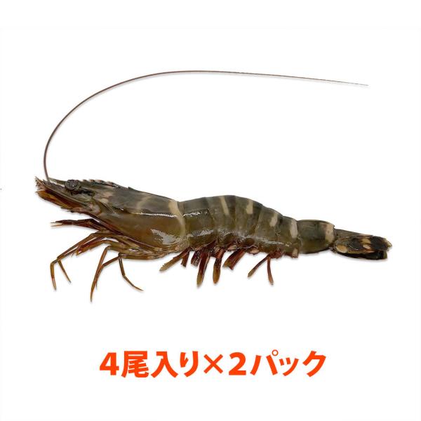天然・無添加・有頭シータイガーえび 約60g/尾 4尾×2パック 小分け冷凍品