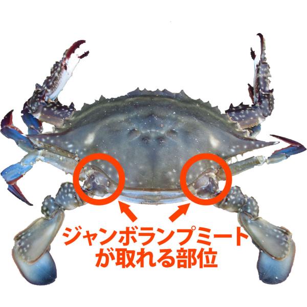 渡り蟹ジャンボランプミートの場所