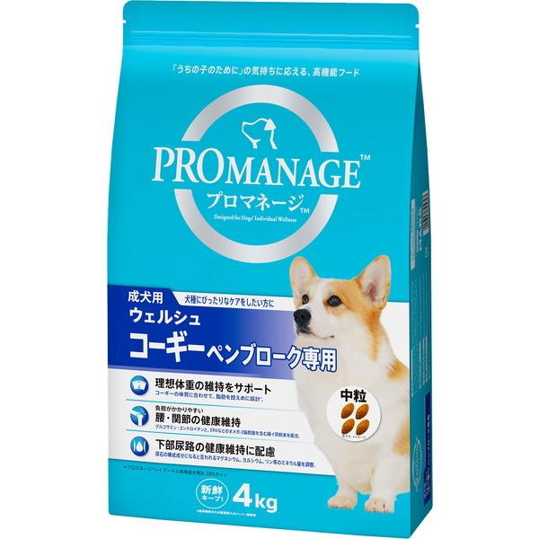 コーギー グッズ」の人気商品一覧 | 安い商品を通販サイトから探す