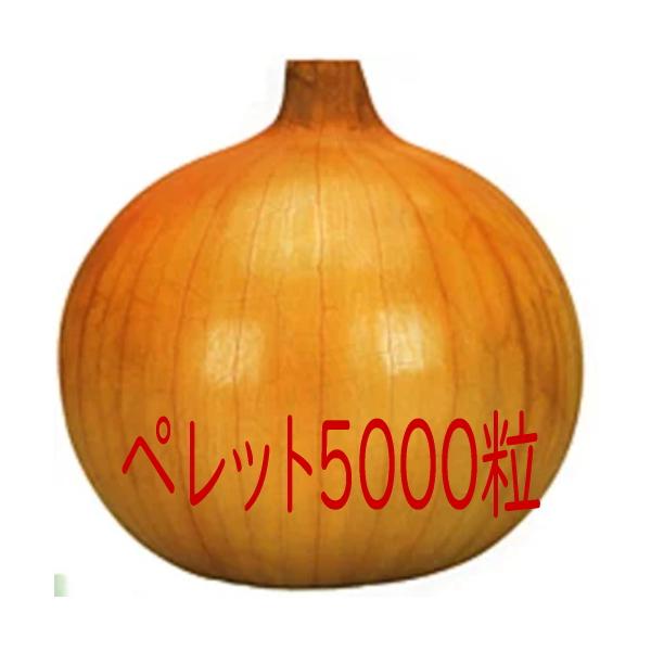 【入荷次第出荷】カネコ種苗　濱の宝　玉葱　ペレット５０００粒