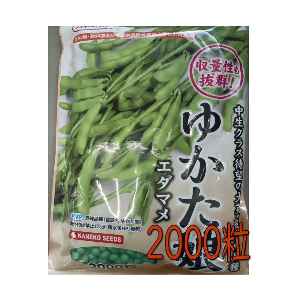 カネコ種苗 枝豆 ゆかた娘 2000粒　種子