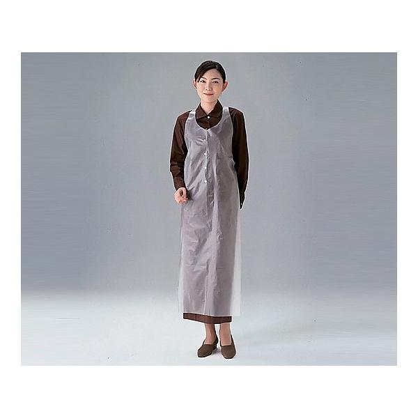 AY@fBX|GvPE 50@S@4560111720069