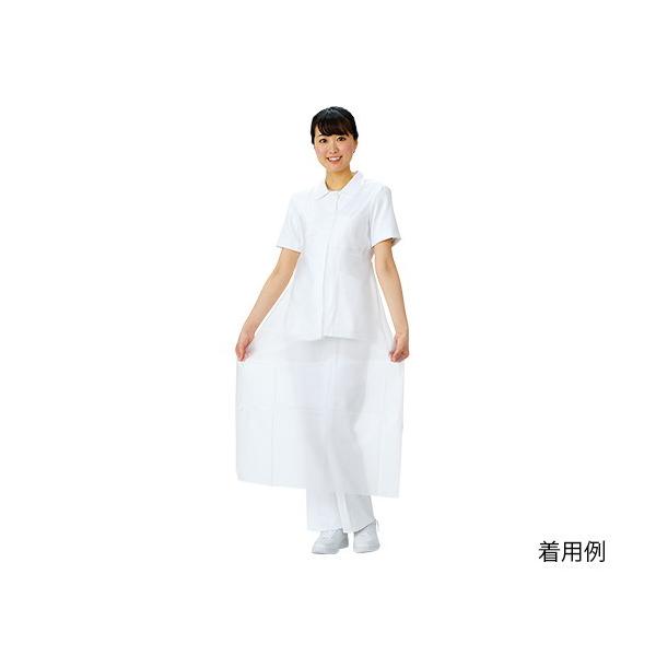 AY@fBX|GvPE 50@M@4560111720076