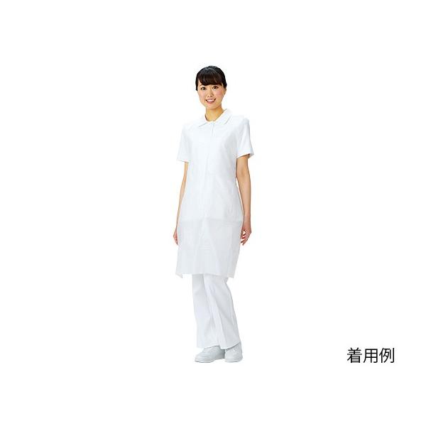 fBX|Gv ×i700×1100mmj100 yďvȃGvł \h 4520951002497