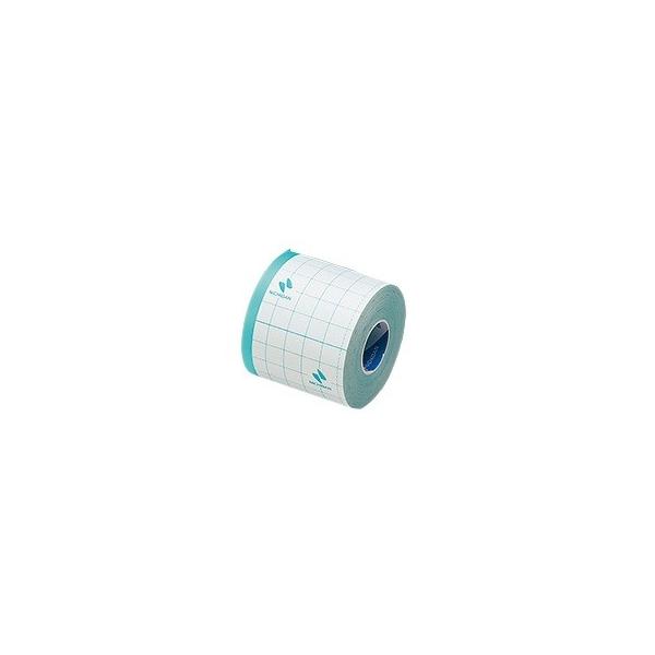 他サイト： ニチバン カテリープ FSロール 50mm×10m　No.0510 4987167049201 フィルムドレッシングの商品画像