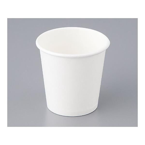 Rbv(n) 60mL(2IX) 3000@4942293188668