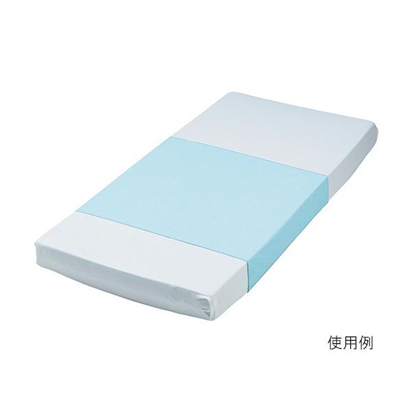 hV[c pC^Cv 900×1450mm@100-11@4571331380704