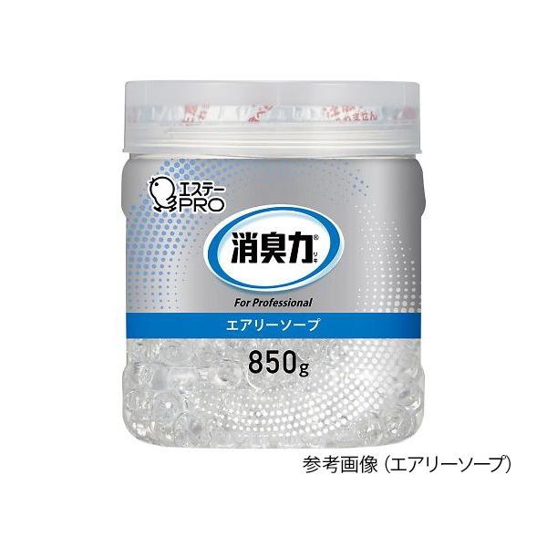 GXe[@Ĺ@Ɩpr[Y^Cv@eʁ@ @130306@4901070130306