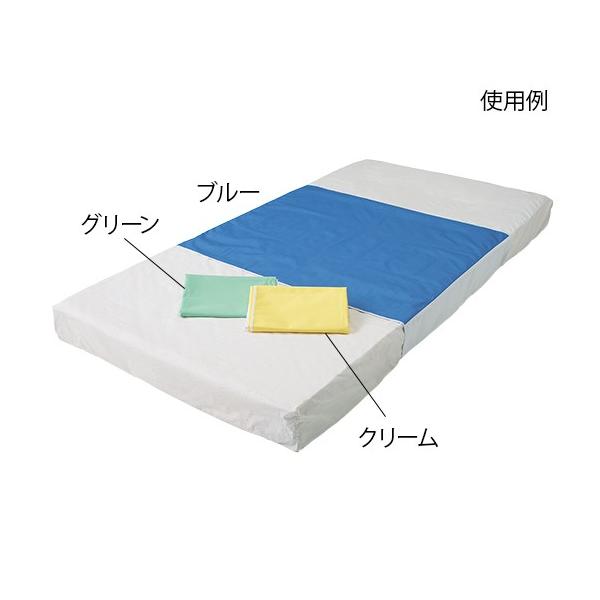 fjhV[c u[@DNBL 900×1700mm@xbhV[c@4589638172939