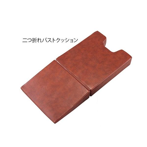 ʗp܂oXgNbV@4589638168116