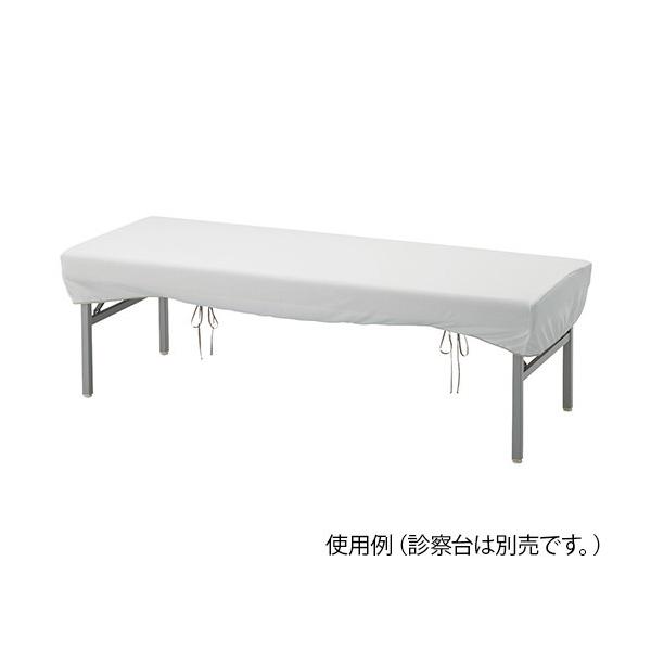 irXiAYj@ϔMϋvf@Jo[(Ɩp) 600×1900mmp@P6019@4589638168079