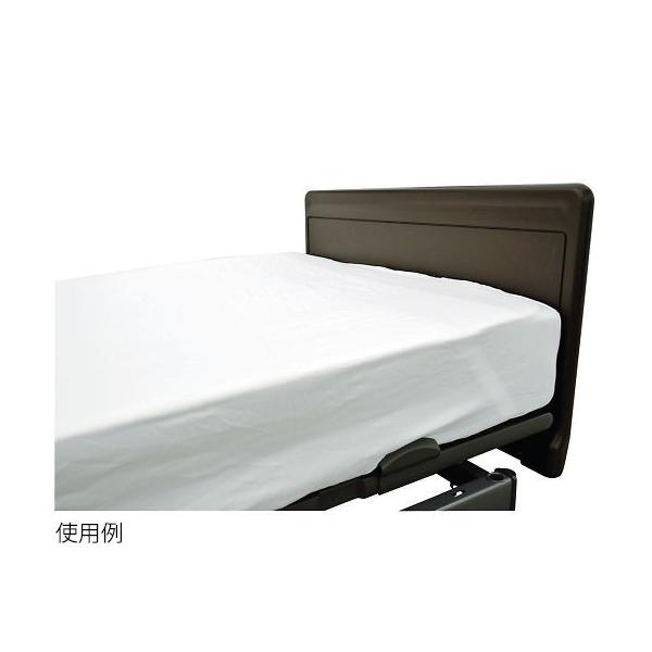 [LOZbg@GRm~[@{bNXV[c@850×1950×250mm SS̃{bNX^Cv