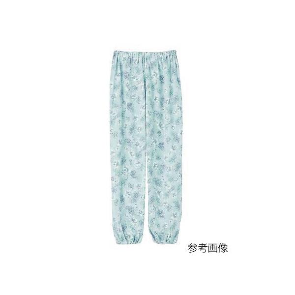 ㉺ʔpW}iwlpjpc@TbNX@M@4580604052743