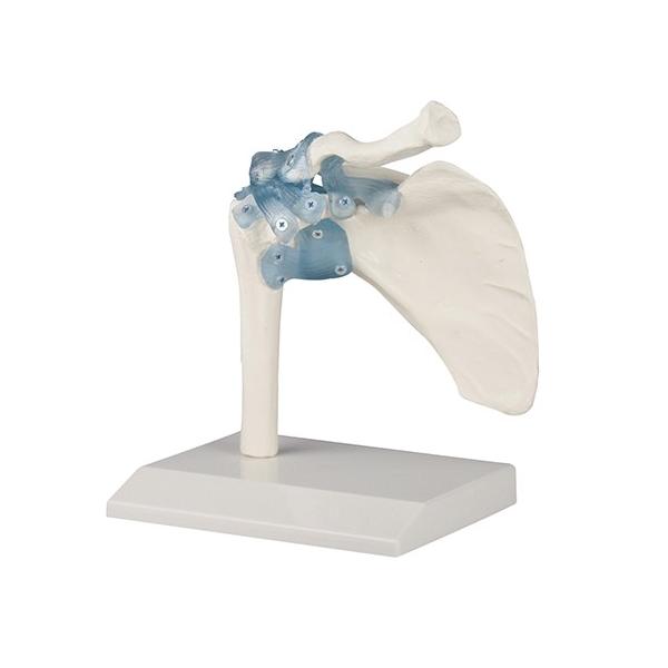 ֐߃f STTO@4589638306280