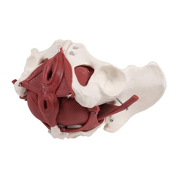 ՂPQf SOVT@4589638306303