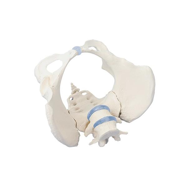 Ճf SOTW@4589638306327