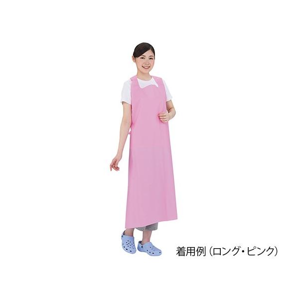 hJ[Gv Ȃǂ O sN@4560181922073 pi @pi pi