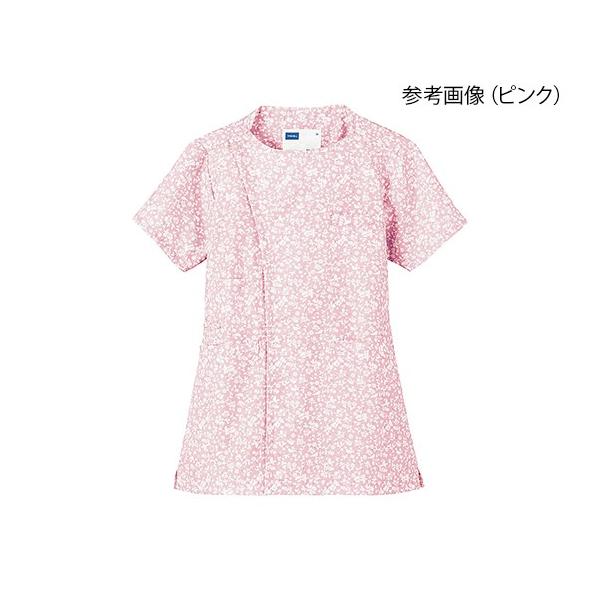 fB[XXNu@zCZ@sN@LL @4932309627328