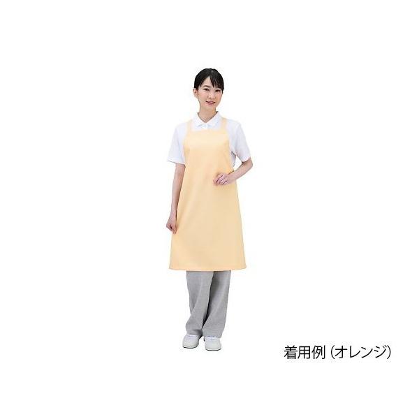 RE@RECXGv@Dr.Earth@|@A[Xu[ @E3500-1T@4991097520204