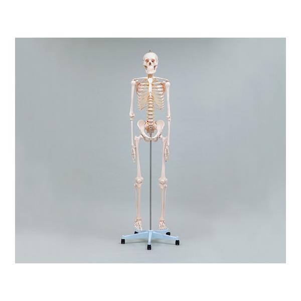 Sgif krrPWO@4589638289613