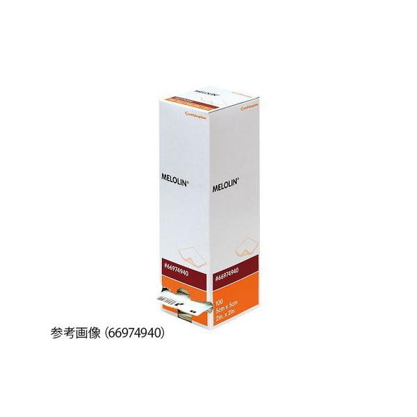 n핢ށ@K[[iŋۍρj100×100mm@100 @4582111150684 yi [10cƓz