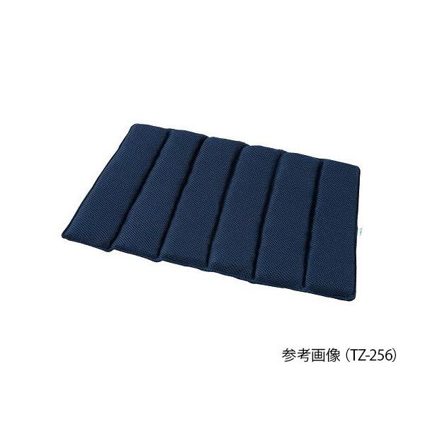 �i�r�X�i�A�Y�����j�@�̈ʌŒ�N�b�V�����@��570�i480�j×300×45mm �@TZ-456�@4589638401978