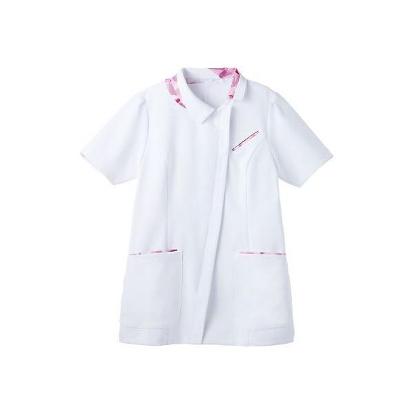 T[HiTybNXCXgj@pWPbg@sN@L @MJAL-1808-D2 L@4582439072200