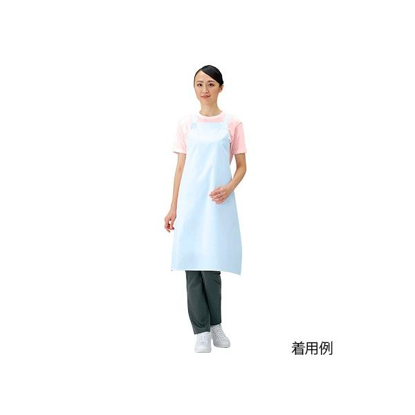 EghCGv |iu[jE1004-1T pi@4991097100413