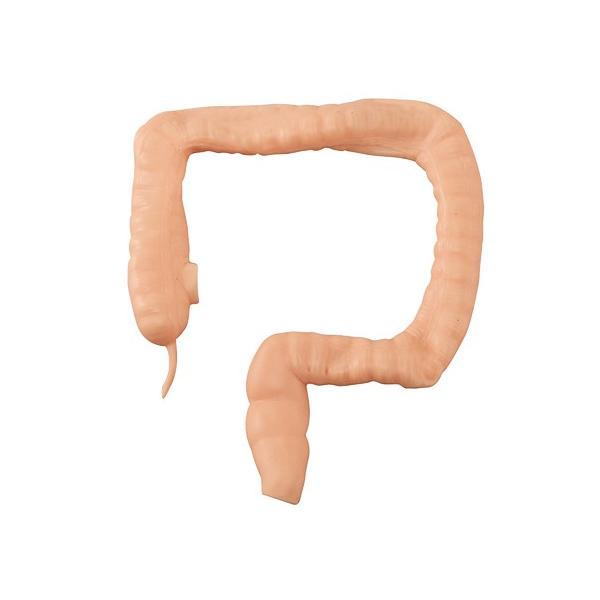 irg咰f@4589638162428