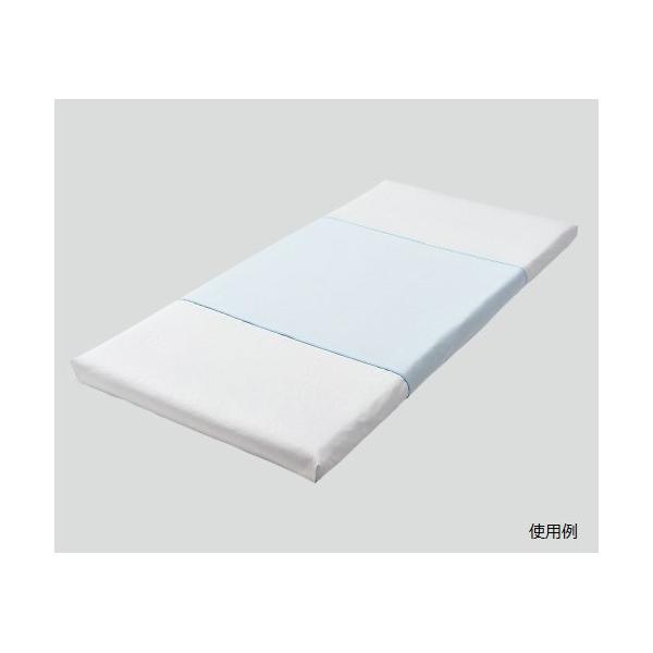 TThCPAhV[c 1500×900mm@pEz@QS-3000@xbhV[c@4582337591117