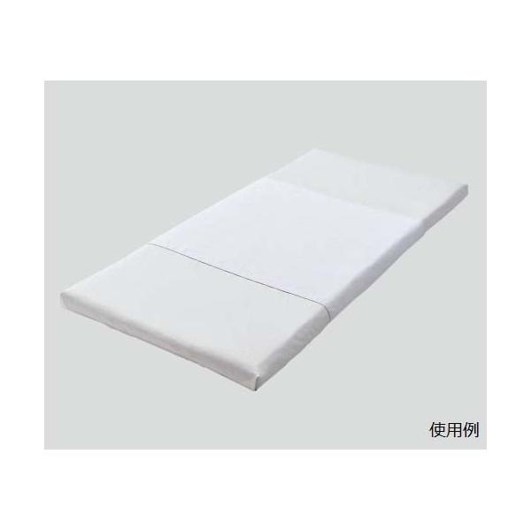 \tg^IhV[ciGRm~[j1600×900mm@p@S-5000@4582337590165